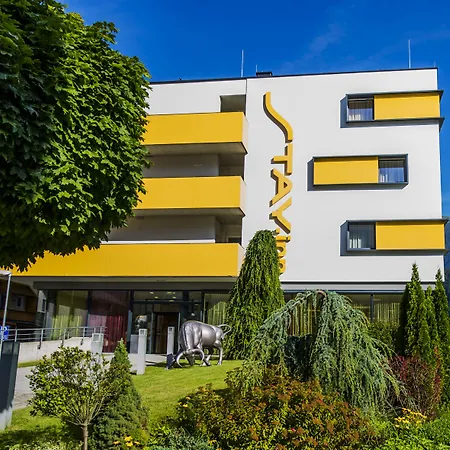 施瓦茨康福艺术住宿酒店