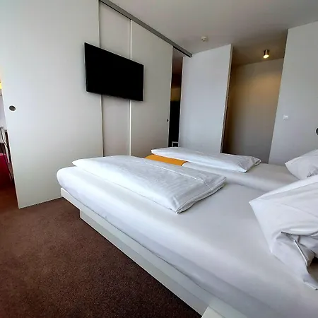 酒店 施瓦茨康福艺术住宿酒店