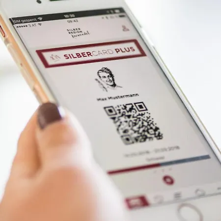 施瓦茨康福艺术住宿酒店 酒店 施瓦茨